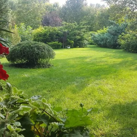 Tavirózsa Apartamento